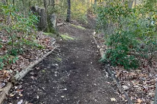 27245 Cat Creek Rd, Mechanicsville, MD 20659 - Photo 66