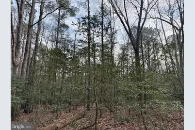 19285 Vanderhoof Lane, Valley Lee, MD 20692 - Photo 2