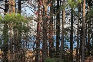 48373 Sunburst Dr, Lexington Park, MD 20653 - Photo 16