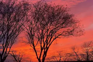 40736 Center 40 Cir, Leonardtown, MD 20650 - Photo 2