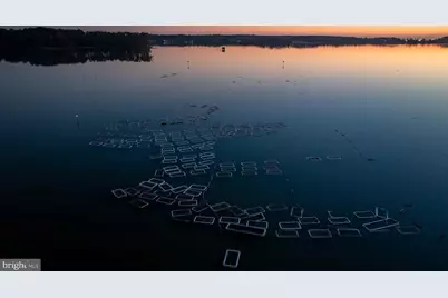 49676 Freemans Road, Dameron, MD 20628 - Photo 4