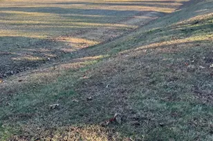 43641 Redmond Rd, Leonardtown, MD 20650 - Photo 8