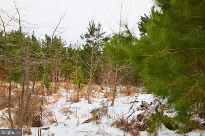 Jutland Road, Saint Inigoes, MD 20684 - Photo 2