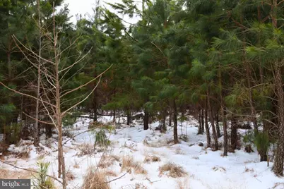 Jutland Road, Saint Inigoes, MD 20684 - Photo 1