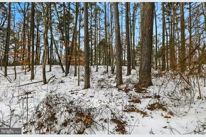 Hollywood, Hollywood, MD 20636 - Photo 10