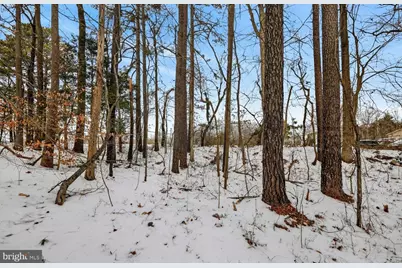 Hollywood, Hollywood, MD 20636 - Photo 12