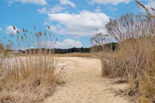 15188 Lake Dr, Scotland, MD 20687 - Photo 136