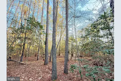 46080 Usher Lane, Valley Lee, MD 20692 - Photo 2