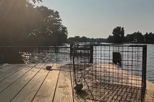 37420 River Springs Rd, Avenue, MD 20609 - Photo 40