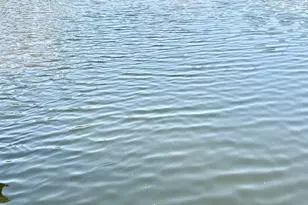 37420 River Springs Rd, Avenue, MD 20609 - Photo 44