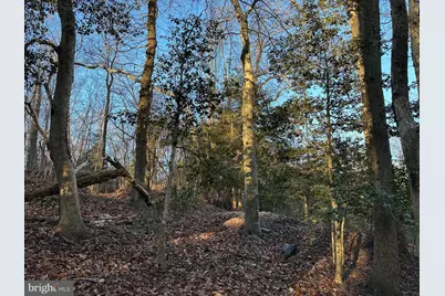 0 Saint Andrews Church Rd, Leonardtown, MD 20650 - Photo 26