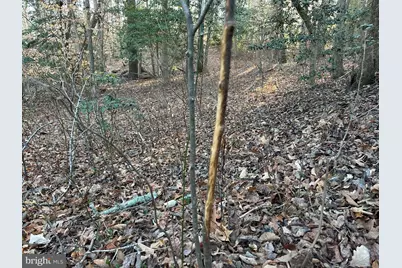 0 Saint Andrews Church Rd, Leonardtown, MD 20650 - Photo 18