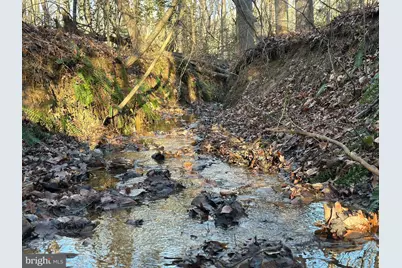 0 Saint Andrews Church Rd, Leonardtown, MD 20650 - Photo 14