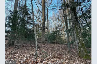 0 Saint Andrews Church Rd, Leonardtown, MD 20650 - Photo 32