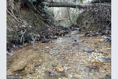 0 Saint Andrews Church Rd, Leonardtown, MD 20650 - Photo 34