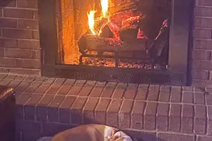 44617 Joy Chapel Rd, Hollywood, MD 20636 - Photo 44