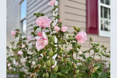 16460 Sayre Point Lane, Piney Point, MD 20674 - Photo 44