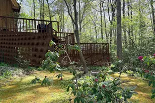 24990 Morgan Rd, Hollywood, MD 20636 - Photo 46