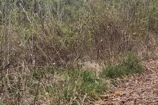 42209 Ridge Rd, Mechanicsville, MD 20659 - Photo 1