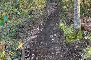 27245 Cat Creek Rd, Mechanicsville, MD 20659 - Photo 52