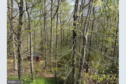 39655 Persimmon Creek Road, Mechanicsville, MD 20659 - Photo 4