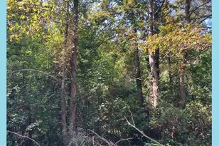 Woodbush Dr, Bushwood, MD 20618 - Photo 1