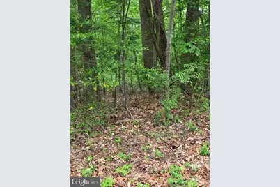 25675 Southwell Lane, Hollywood, MD 20636 - Photo 2
