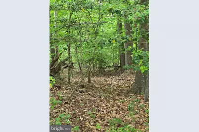 25675 Southwell Lane, Hollywood, MD 20636 - Photo 4