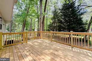 23150 Grey Squirrel Ln, California, MD 20619 - Photo 44