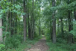 20275 Jackson Rd, Callaway, MD 20620 - Photo 2