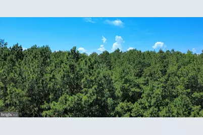 Whirlwind Road, Leonardtown, MD 20650 - Photo 16