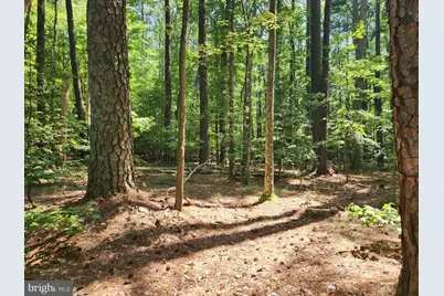 Point Lookout Road, Scotland, MD 20687 - Photo 6