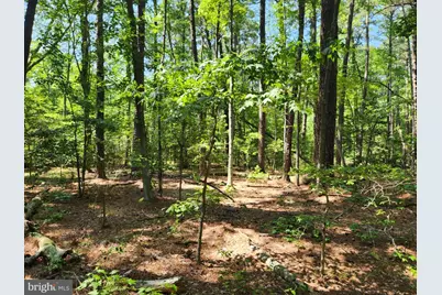 Point Lookout Road, Scotland, MD 20687 - Photo 18