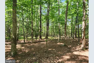Point Lookout Road, Scotland, MD 20687 - Photo 16