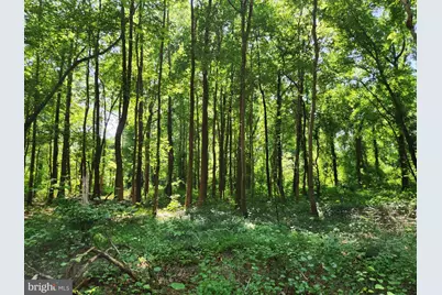 Point Lookout Road, Scotland, MD 20687 - Photo 10