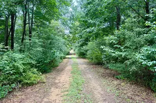 45291 Take It Easy Ranch Rd, Callaway, MD 20620 - Photo 1