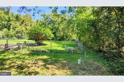 15240 Point Lookout Road, Saint Inigoes, MD 20684 - Photo 8