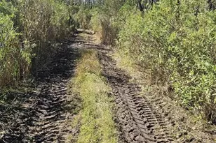 0 Asbury Ave, Crisfield, MD 21817 - Photo 1