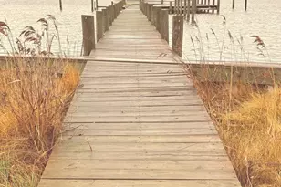 2997 Tylerton Rd, Tylerton, MD 21866 - Photo 4