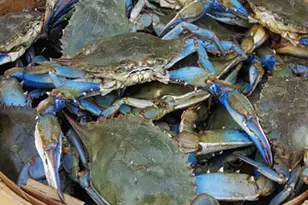 2997 Tylerton Rd, Tylerton, MD 21866 - Photo 28