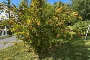 20809 Severn Rd, Ewell, MD 21824 - Photo 34