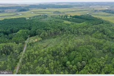 30371 Marumsco Road, Marion Station, MD 21838 - Photo 16