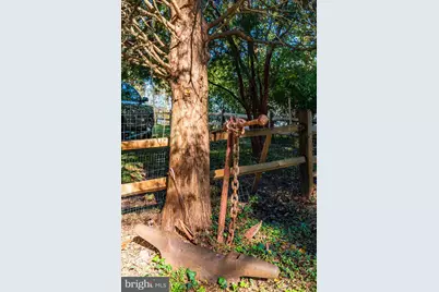 26388 Mount Vernon Road, Princess Anne, MD 21853 - Photo 2