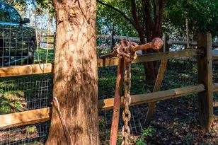 26388 Mt Vernon Rd, Princess Anne, MD 21853 - Photo 2