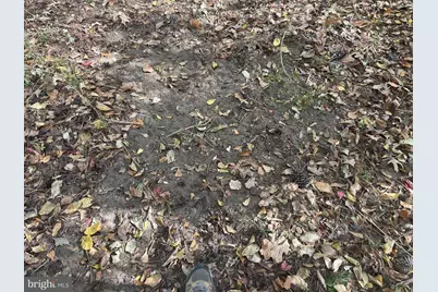 0 Whitehaven Ferry Road, Princess Anne, MD 21853 - Photo 16