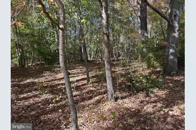 0 Whitehaven Ferry Road, Princess Anne, MD 21853 - Photo 30