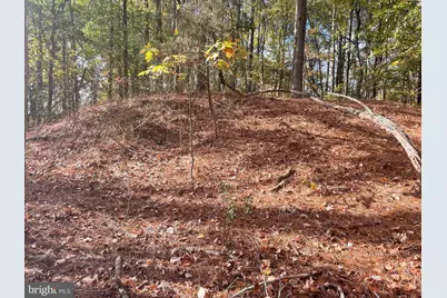 0 Whitehaven Ferry Road, Princess Anne, MD 21853 - Photo 24