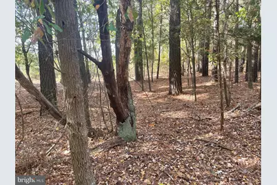 0 Whitehaven Ferry Road, Princess Anne, MD 21853 - Photo 8