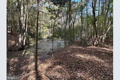 0 Whitehaven Ferry Road, Princess Anne, MD 21853 - Photo 32