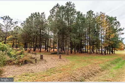 24653 McInturff Road, Dames Quarter, MD 21821 - Photo 38